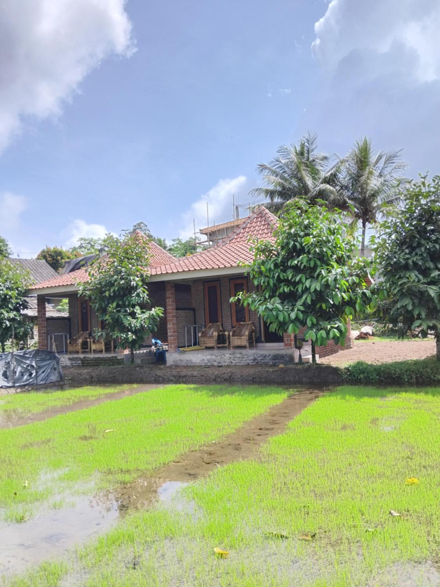 Tereng Wilis Bungalows Tetebatu Exterior foto