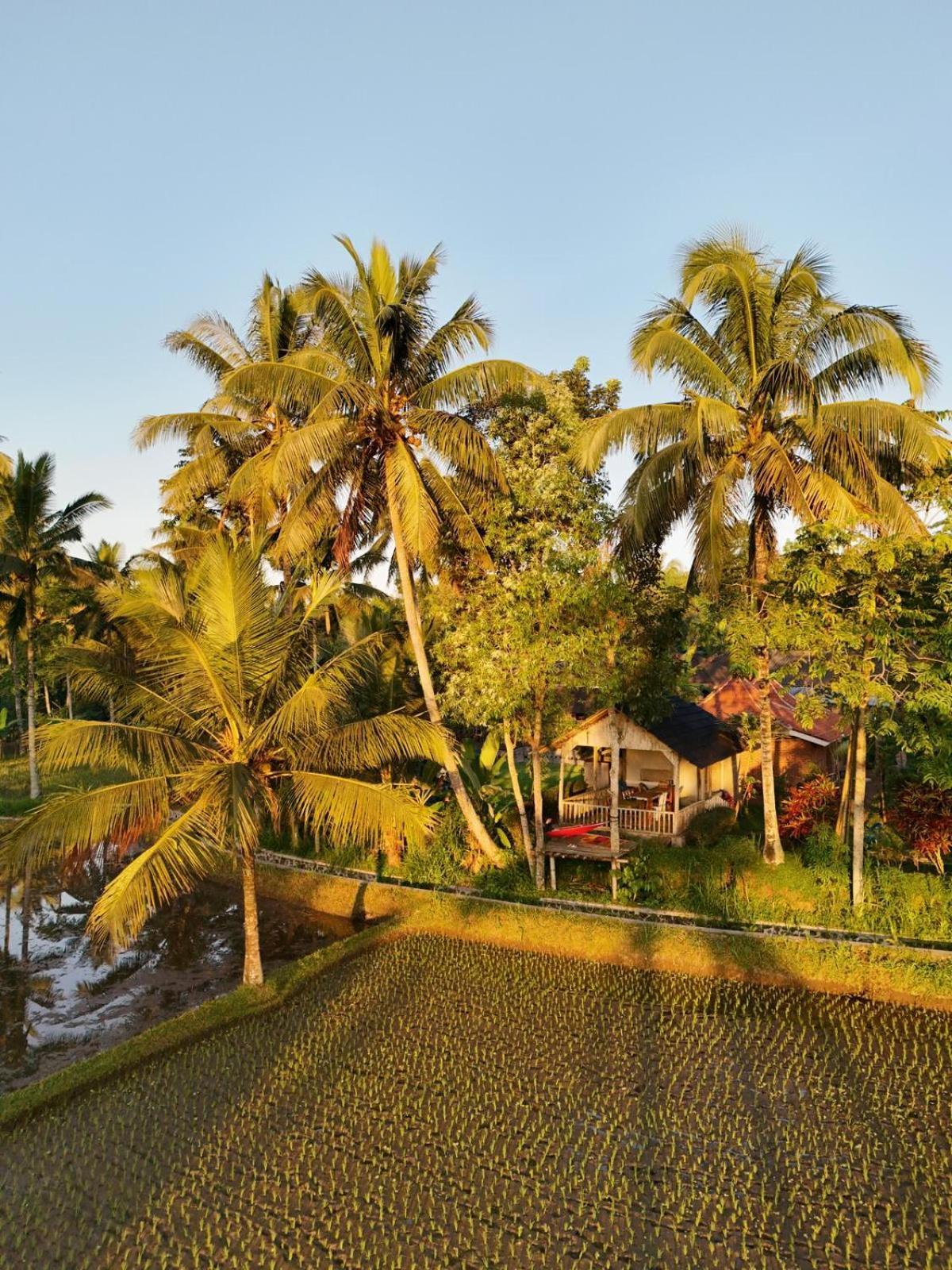 Tereng Wilis Bungalows Tetebatu Exterior foto