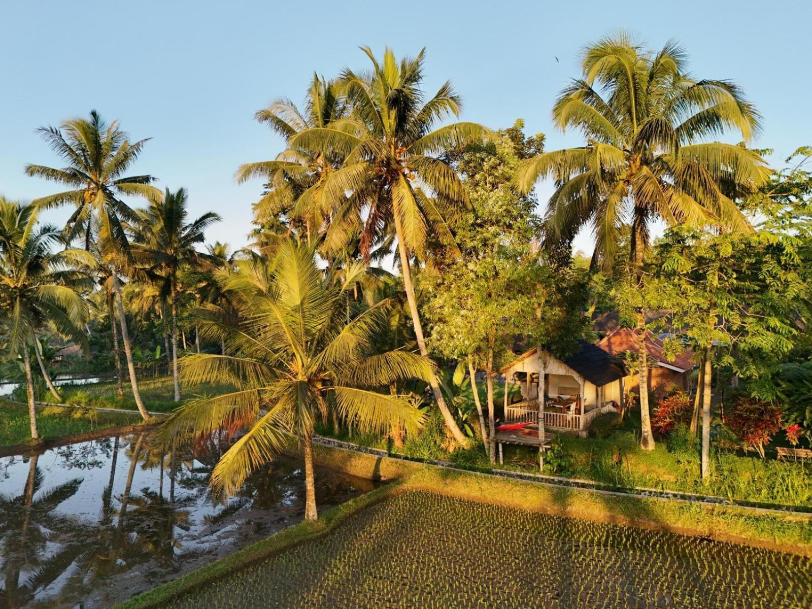 Tereng Wilis Bungalows Tetebatu Exterior foto