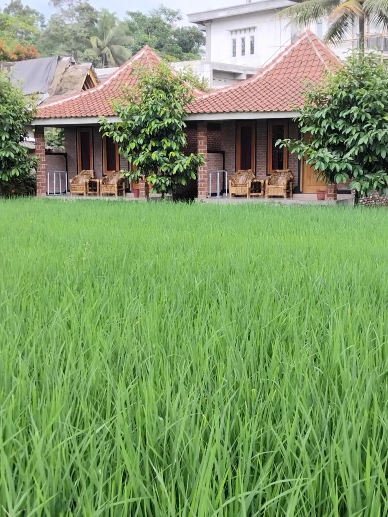 Tereng Wilis Bungalows Tetebatu Exterior foto