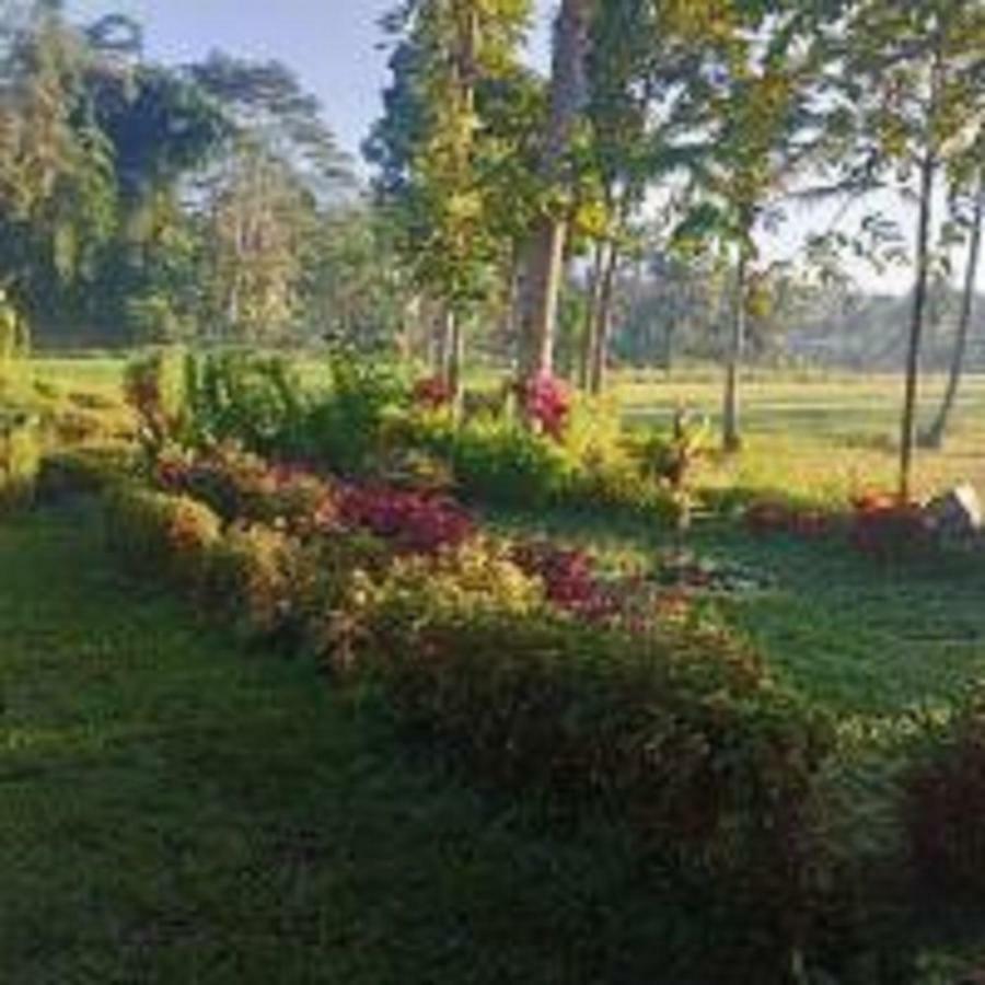 Tereng Wilis Bungalows Tetebatu Exterior foto